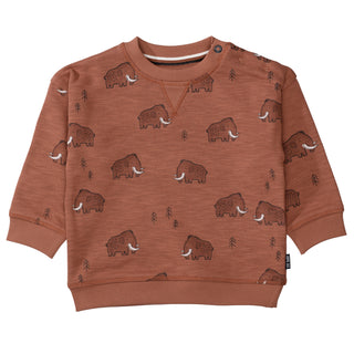 Kn.-Sweatshirt