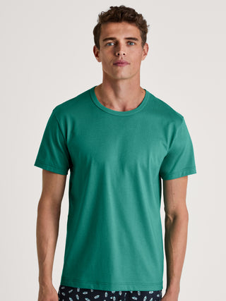 HERREN T-Shirt, pond green