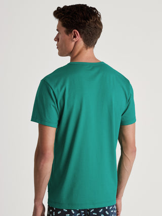 HERREN T-Shirt, pond green