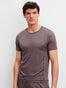 HERREN T-Shirt, sparrow brown