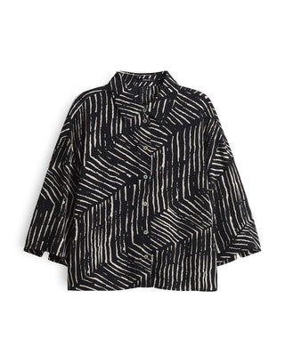 Fiana palm leaves