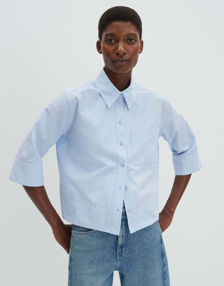 Zarba bold, summer breeze