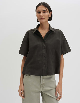 Ztina, midnight olive