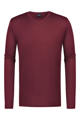 T-Shirt langarm