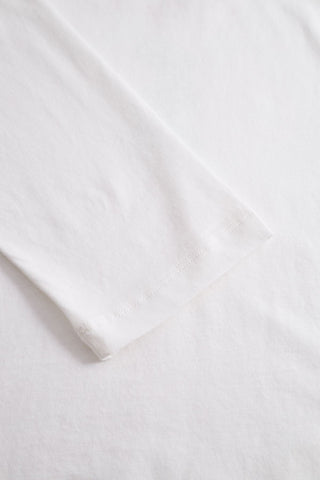 Shirt 1253575