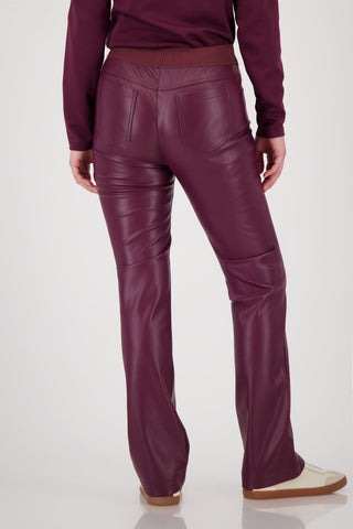 Hose, bordeaux