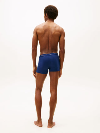 SINGLE TRUNK