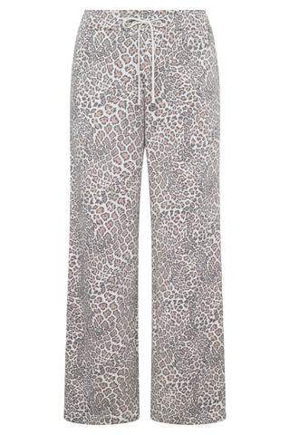 Pants 3251284