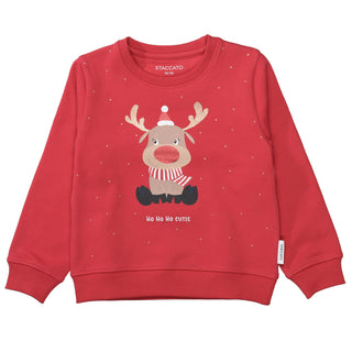 Md.-Sweatshirt