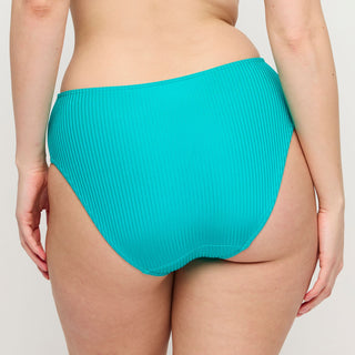 DELRAY Sea Turtle Bikini Taillenslip