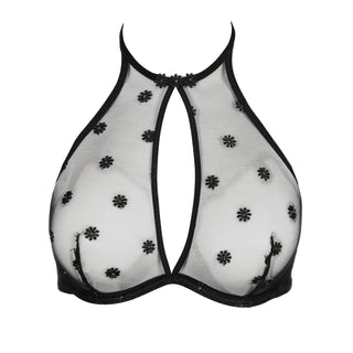 DAISY schwarz Bralette