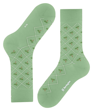 Burlington Palm Tree Herren
