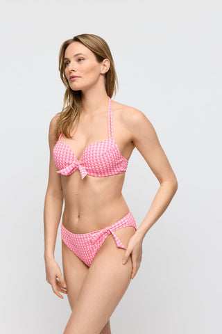 MARY LYNN Rose Gingham Bikini Rioslip