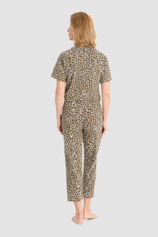 Pants 1263077
