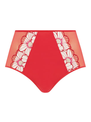 Lush Full brief