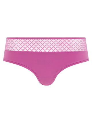 Norah Chic Shorty