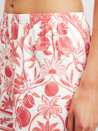 WOMEN Shorts