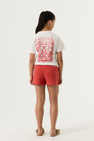 O262536