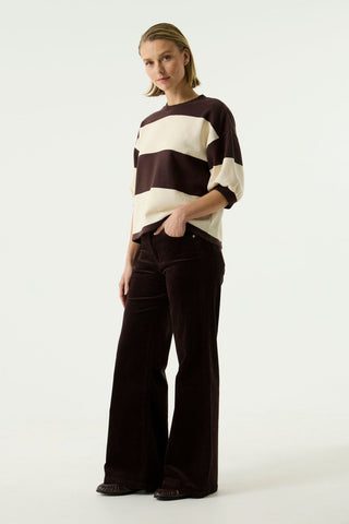 249 Celia wide