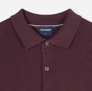 Langarm Polo Strick