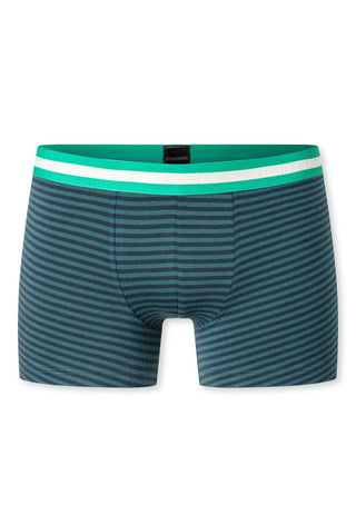 3PACK Shorts